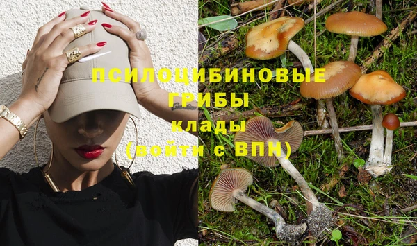 герыч Алексеевка