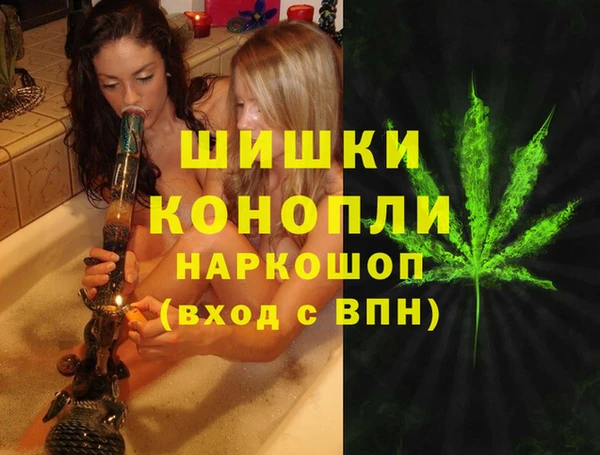 дживик Алексин