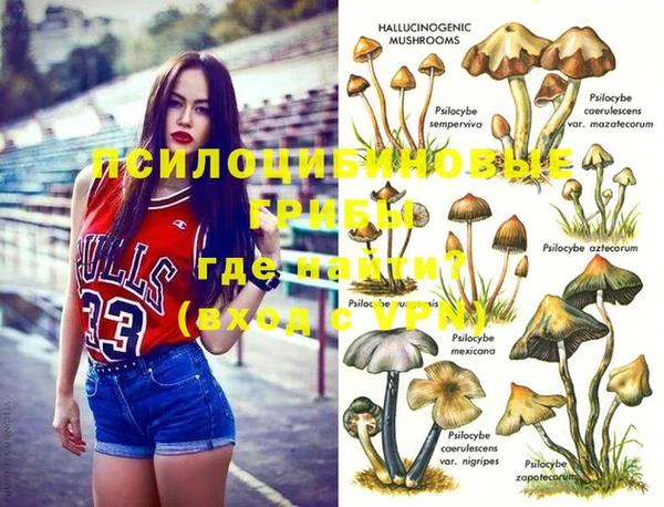 дживик Алексин